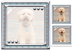 JJ LOVE MY DOG LABRADOODLE 8X8 INSERT BLANK