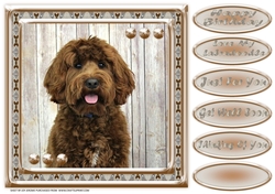 JJ LOVE MY DOG LABRADOODLE 2 8X8