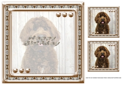  JJ LOVE MY DOG LABRADOODLE 2 8X8 INSERT HAPPY BIRTHDAY