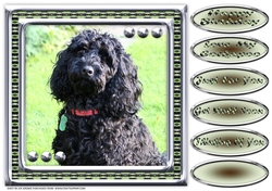 JJ LOVE MY DOG COCKAPOO 2 8X8