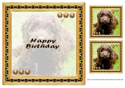 JJ LOVE MY DOG COCKAPOO 8X8 INSERT HAPPY BIRTHDAY