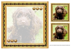 JJ LOVE MY DOG COCKAPOO 8X8 INSERT BLANK