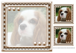 JJ LOVE MY DOG COCKER SPANIEL 2 8X8 INSERT BLANK
