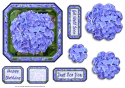 JJ HYDRANGEA BLUE 6X6 PYRAMAGE