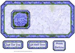 JJ HYDRANGEA BLUE 6X6 PYRAMAGE