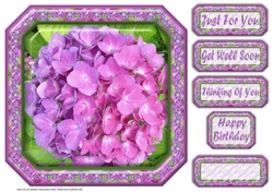 JJ HYRANGEA LAVENDER - PINK 8X8