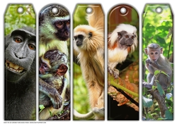 JJ ASSORTED BOOKMARKS MONKEYS