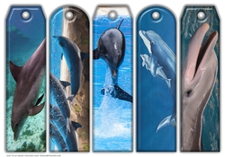 JJ ASSORTED BOOKMARKS DOLPHINS
