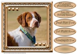 JJ LOVE MY DOG BRITTANY SPANIEL 8X8
