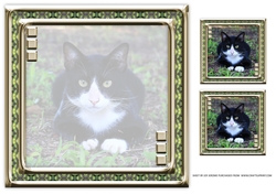 JJ LOVE MY CAT 3 8X8 INSERT BLANK