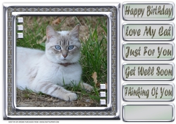 JJ LOVE MY CAT 4 8X8