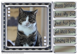 JJ LOVE MY CAT 5 8X8