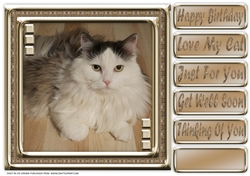 JJ LOVE MY CAT 6 8X8