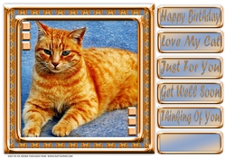 JJ LOVE MY CAT 7 8X8
