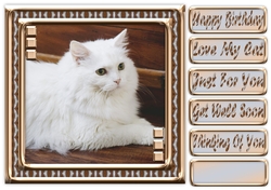 JJ LOVE MY CAT 8 8X8