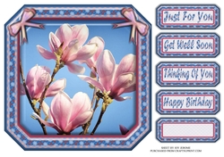 JJ MAGNOLIA 8X8