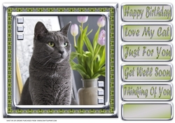 JJ LOVE MY CAT 11 8X8
