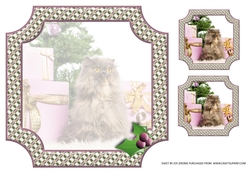 JJ PETS LOVE CHRISTMAS TOO CAT WITH GIFTS 8X8 INSERT BLANK