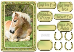 JJ LOVE MY HORSE A5 QUICK CARD 1