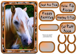 JJ LOVE MY HORSE A5 QUICK CARD 4