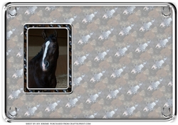 JJ LOVE MY HORSE A5 QUICK CARD 2 INSERT BLANK