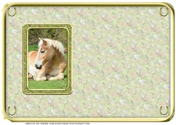 JJ LOVE MY HORSE A5 QUICK CARD 1 INSERT BLANK
