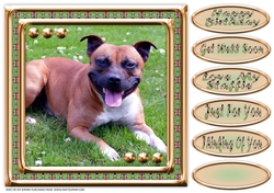 JJ LOVE MY DOG STAFFORDSHIRE BULL TERRIER OR STAFFIE 8X8