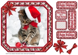 JJ PETS LOVE CHRISTMAS TOO CUTE CAT 8X8