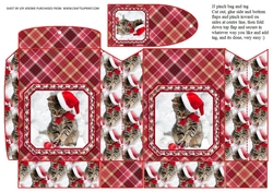 JJ PETS LOVE CHRISTMAS TOO CUTE CAT PINCHBAG AND TAG