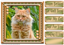 JJ LOVE MY CAT 19 8X8