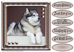 JJ LOVE MY ALASKAN MALAMUTE 8X8 1