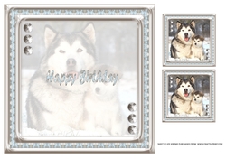 JJ LOVE MY ALASKAN MALAMUTES 8X8 INSERT HAPPY BIRTHDAY