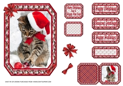 JJ PETS LOVE CHRISTMAS TOO CUTE CAT 7x5