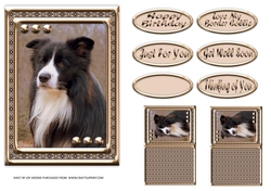 JJ LOVE MY DOG BORDER COLLIE 5X7