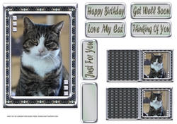 JJ LOVE MY CAT 5 5X7