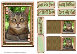 JJ LOVE MY CAT 2 5X7