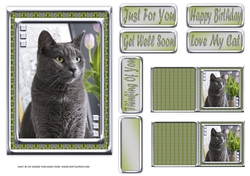  JJ LOVE MY CAT 11 5X7