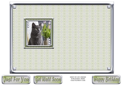 JJ LOVE MY CAT 11 5X7 INSERT.