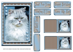  JJ LOVE MY CAT 14 5X7