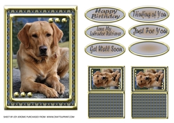 JJ LOVE MY DOG LABRADOR RETRIEVER 5X7 YELLOW