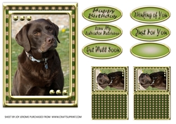 JJ LOVE MY DOG LABRADOR RETRIEVER 5X7 CHOCOLATE