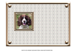JJ LOVE MY DOG SPRINGER SPANIEL 5X7 INSERT BLANK