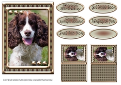 JJ LOVE MY DOG SPRINGER SPANIEL 5X7