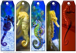 JJ ASSORTED BOOKMARKS SEAHORSES