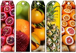 JJ ASSORTED BOOKMARKS FRUIT 1