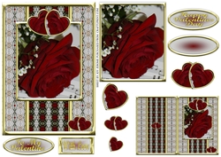 JJ VALENTINE RED ROSE 5X7