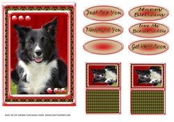 JJ LOVE MY DOG BORDER COLLIE 2 5X7
