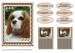JJ LOVE MY DOG COCKER SPANIEL 2 5X7.jpg
