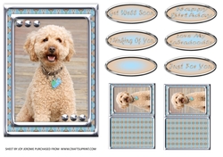 JJ LOVE MY DOG LABRADOODLE 1 5X7