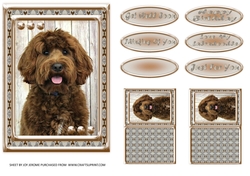 JJ LOVE MY DOG LABRADOODLE 2 5X7